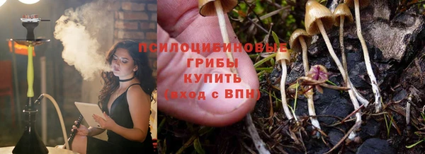 дживик Алексеевка